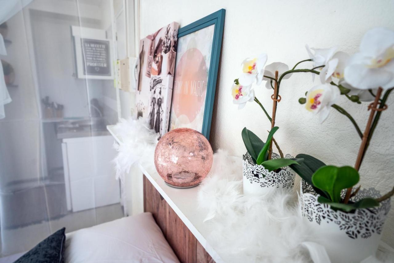 Apartment Cocoon ~ 4 Mn Du Haras ~ Wifi *